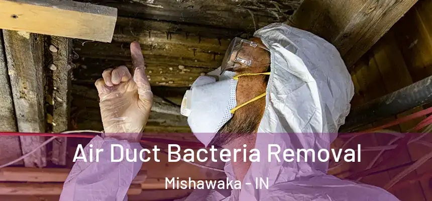  Air Duct Bacteria Removal Mishawaka - IN