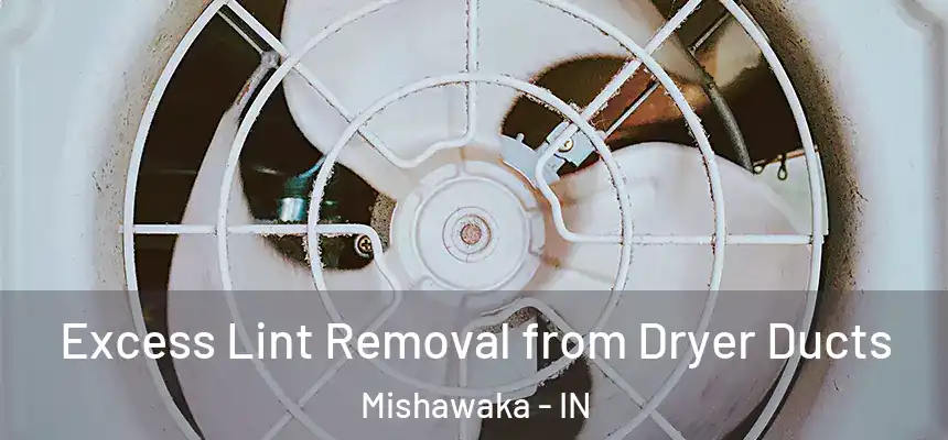  Excess Lint Removal from Dryer Ducts Mishawaka - IN