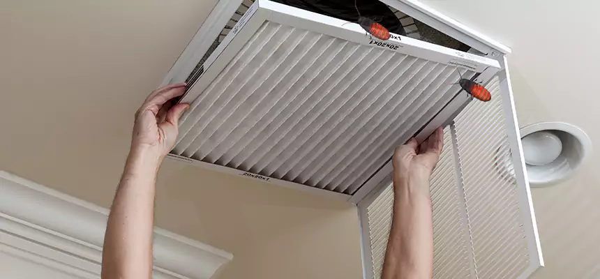 Preventive Cockroach-Proofing for Ducts in Mishawaka