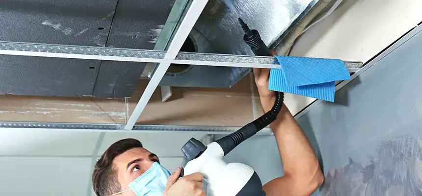 Our Air Duct Rodent Removal Services in Mishawaka, IN