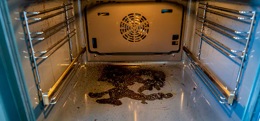 Our Dryer Vent Mold Cleaning Services in Mishawaka, IN