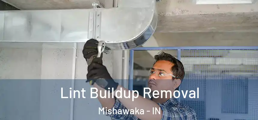  Lint Buildup Removal Mishawaka - IN
