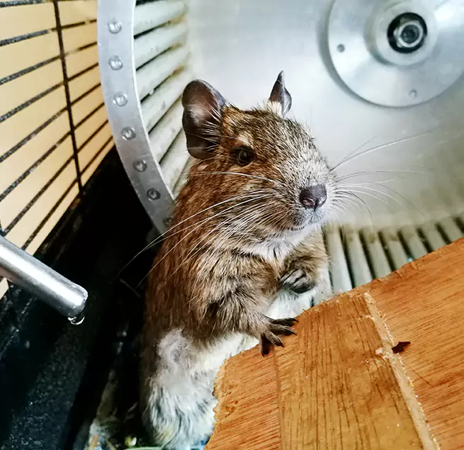 Why Homeowners & Businesses Trust Us Mishawaka, IN?